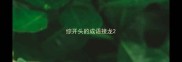 综开头的成语接龙