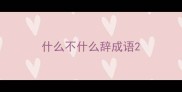 什么不什么辞成语