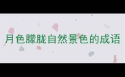 月色朦胧自然景色的成语