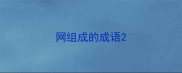 网组成的成语