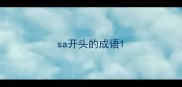 sa开头的成语