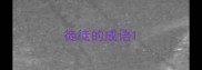 徒徒的成语