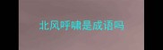 北风呼啸是成语吗