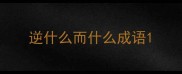 逆什么而什么成语