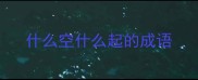 什么空什么起的成语