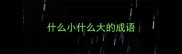 什么小什么大的成语