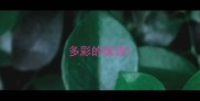 多彩的成语