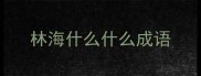 林海什么什么成语