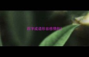 四字成语形容感情的
