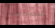 什么什么什么理成语