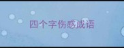 四个字伤感成语
