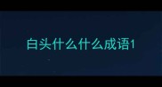 白头什么什么成语