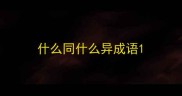 什么同什么异成语