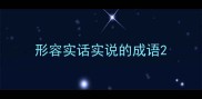 形容实话实说的成语