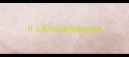 什么离鸟成语有哪些成语