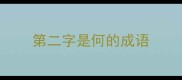 第二字是何的成语