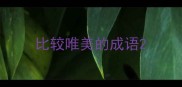 比较唯美的成语