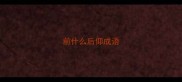 前什么后仰成语
