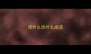 怪什么惊什么成语