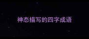 神态描写的四字成语