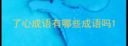 了心成语有哪些成语吗