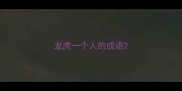 龙虎一个人的成语
