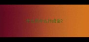 什么厉什么行成语