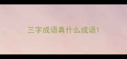 三字成语真什么成语
