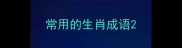 常用的生肖成语