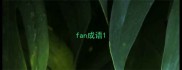 fan成语