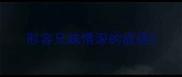 形容兄妹情深的成语