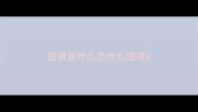 成语意什么志什么成语