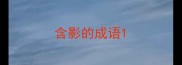 含影的成语