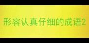 形容认真仔细的成语