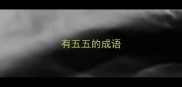 有五五的成语