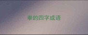 拳的四字成语