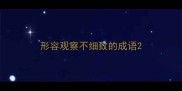 形容观察不细致的成语