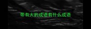 带有大的成语有什么成语