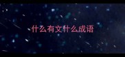 什么有文什么成语