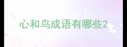 心和鸟成语有哪些