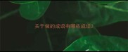 关于做的成语有哪些成语