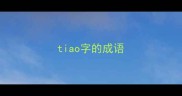 tiao字的成语