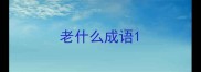 老什么成语