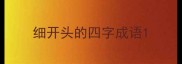 细开头的四字成语