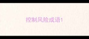 控制风险成语