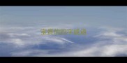 宝贵的四字成语