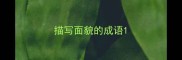 描写面貌的成语