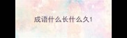 成语什么长什么久
