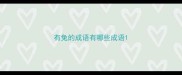 有兔的成语有哪些成语