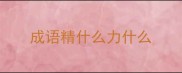 成语精什么力什么